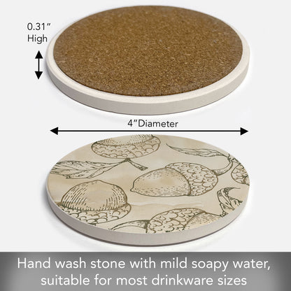 Thirstystone Acorn Round Absorbent Stone Coaster with Protective Cork Backing Manufactured in The USA 4" Diameter