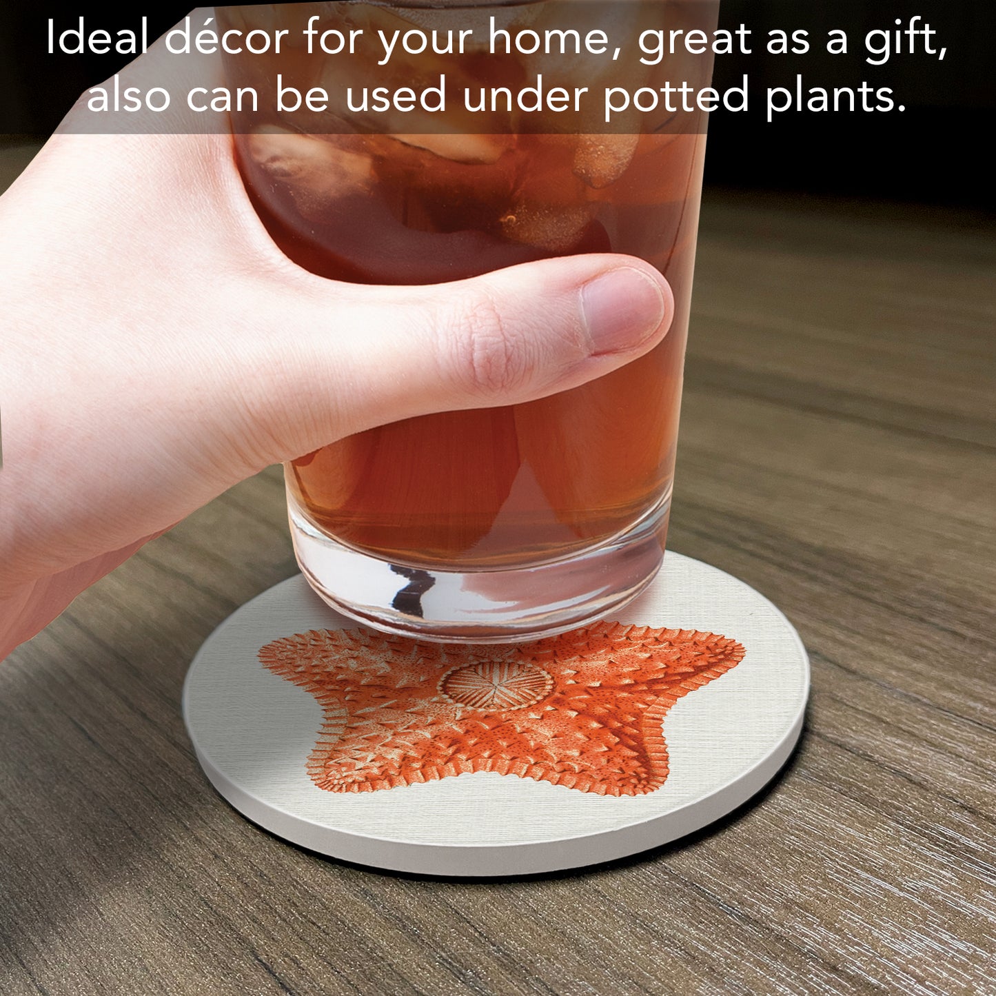 Thirstystone Starfish Dream Round Absorbent Stone Coaster with Protective Cork Backing Manufactured in The USA 4" Diameter
