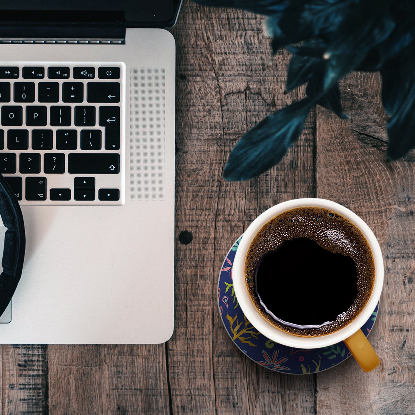 Seaweed Float Single Round Absorbent Stone Coaster 4" Diameter Create Your Own Collection