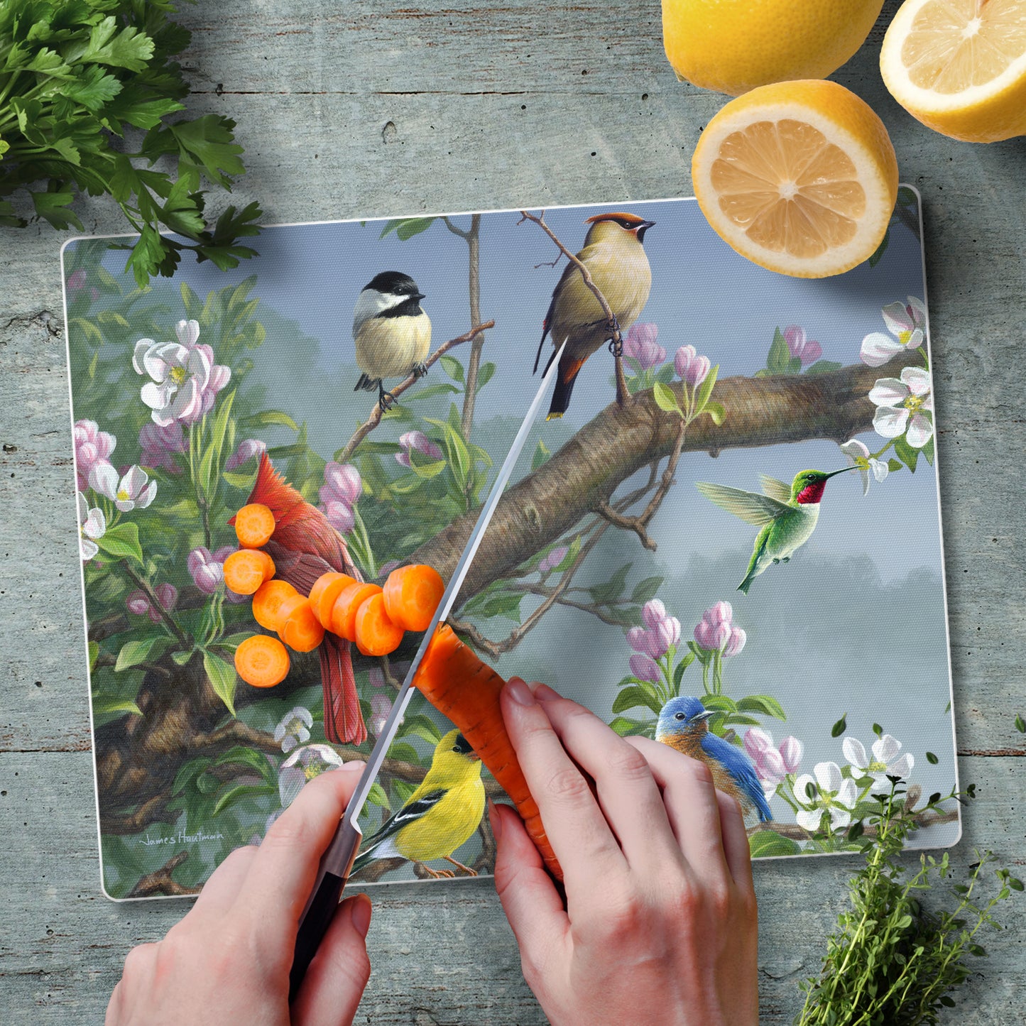 CounterArt Beautiful Songbirds 3mm Tempered Glass Cutting Board 10” x 8” Manufactured in the USA