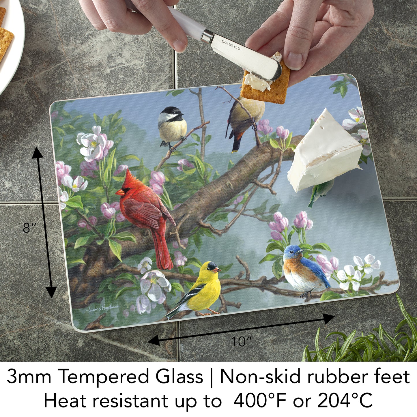 CounterArt Beautiful Songbirds 3mm Tempered Glass Cutting Board 10” x 8” Manufactured in the USA