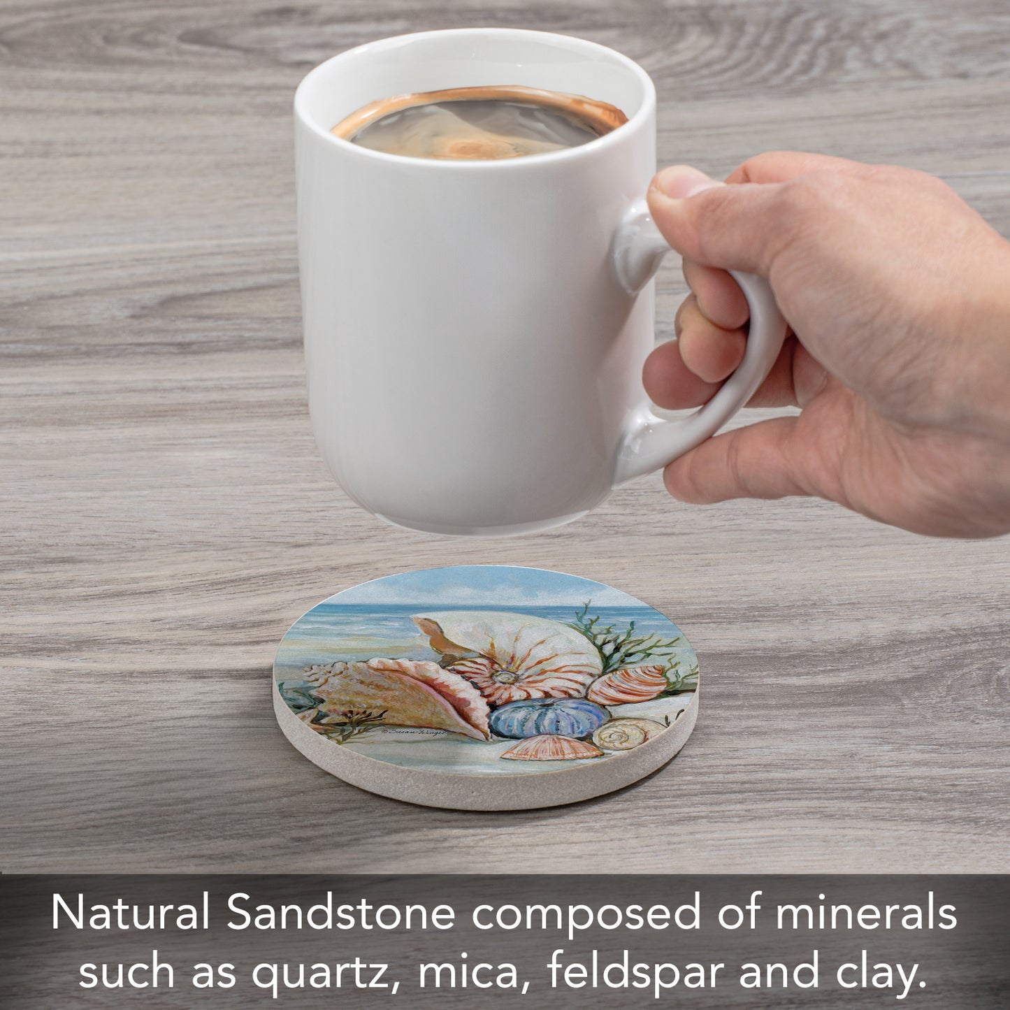 CounterArt Coastal Shore Single Round Natural Sandstone Coaster with Protective Cork Backing Manufactured in The USA 4" Diameter