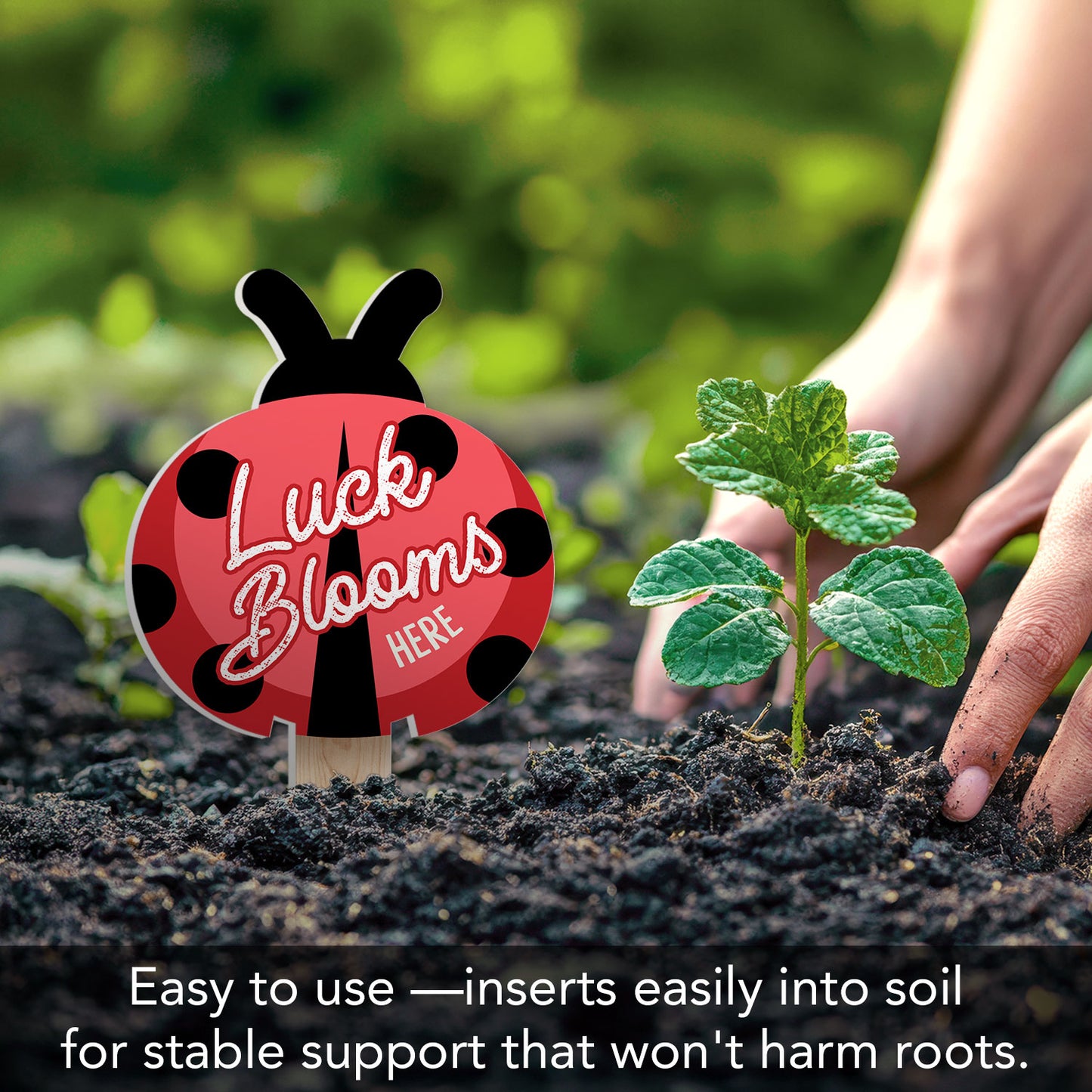 Luck Blooms Here Ladybug Shaped Garden Stake