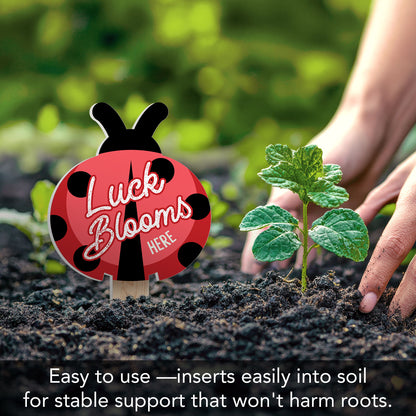 Luck Blooms Here Ladybug Shaped Garden Stake