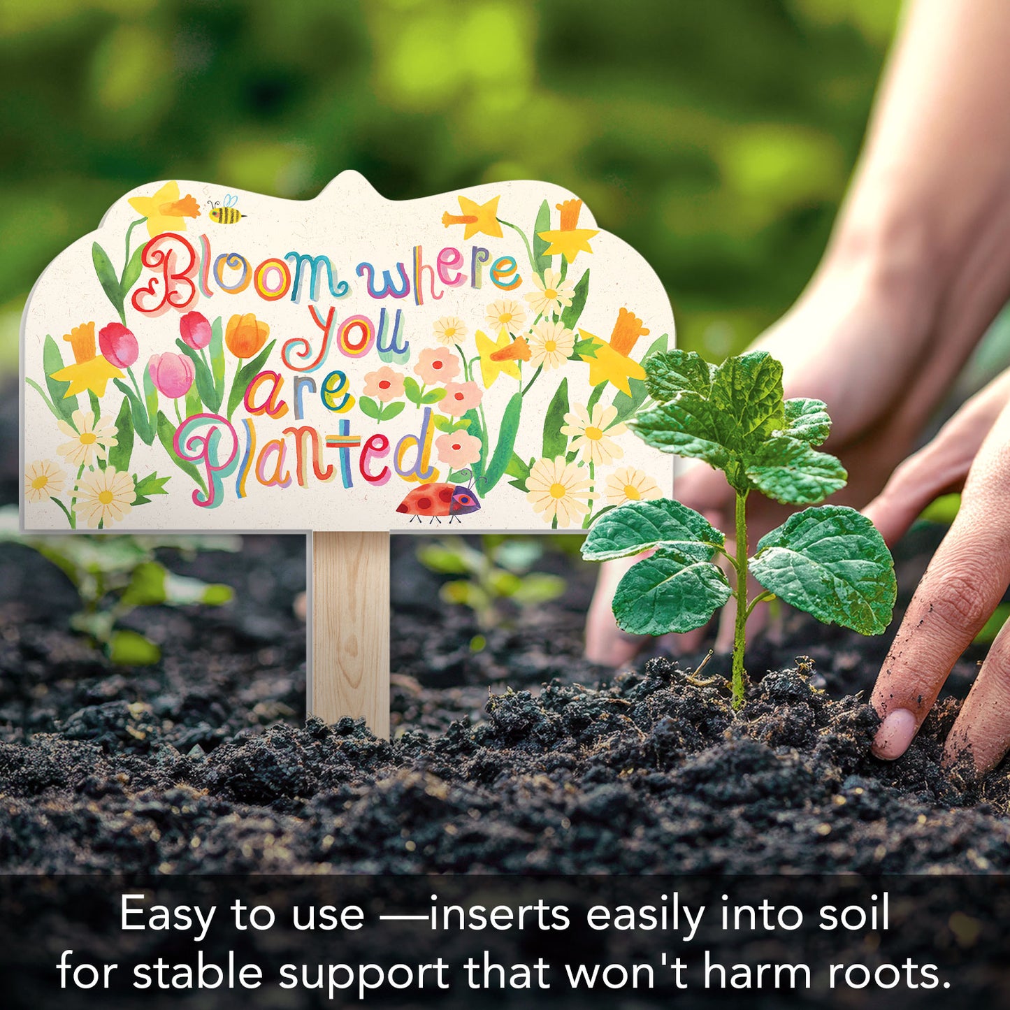 Bloom Where Planted Decorative Shaped Garden Stake