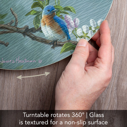 CounterArt Beautiful Songbirds 4mm Tempered Glass Lazy Susan Turntable 13" Diameter