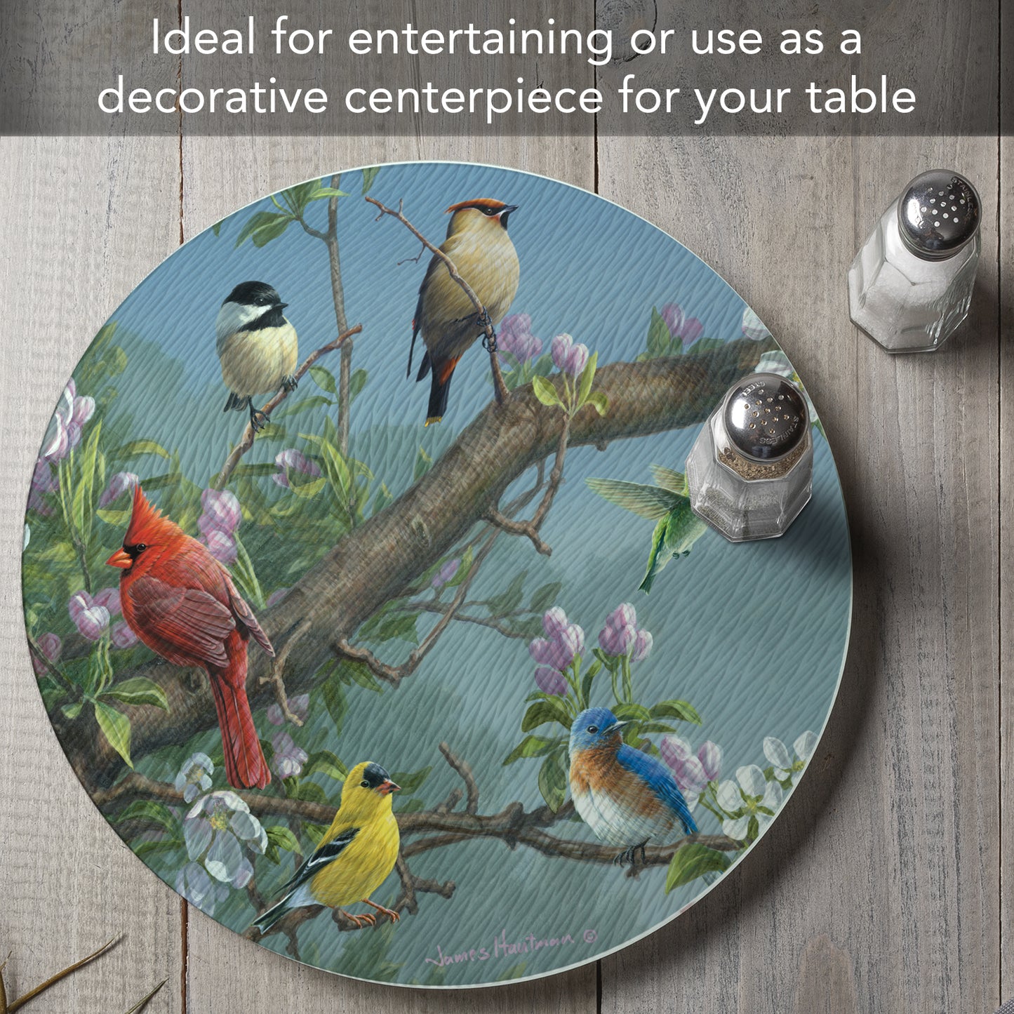 CounterArt Beautiful Songbirds 4mm Tempered Glass Lazy Susan Turntable 13" Diameter