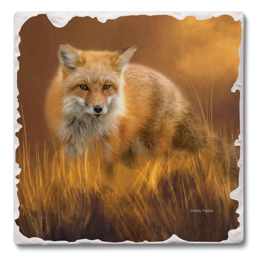 Thirstystone Fox in The Grass Single Tumbled Tile Stone Coaster with Protective Cork Backing Manufactured in The USA 4" Square