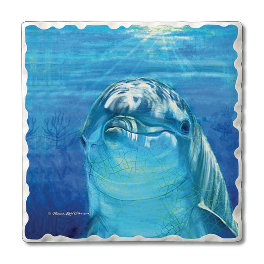 Thirstystone Dolphin Smile 4-Pack Tumbled Tile Stone Coasters 4" Square Manufactured in the USA