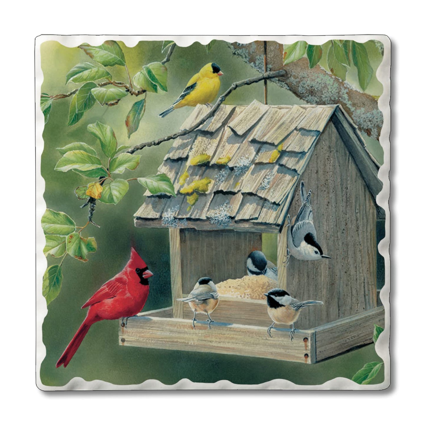 Thirstystone Red Cardinal Single Tumbled Tile Stone Coaster with Protective Cork Backing Manufactured in The USA 4" Square, Artistic, Easily Wipes Clean