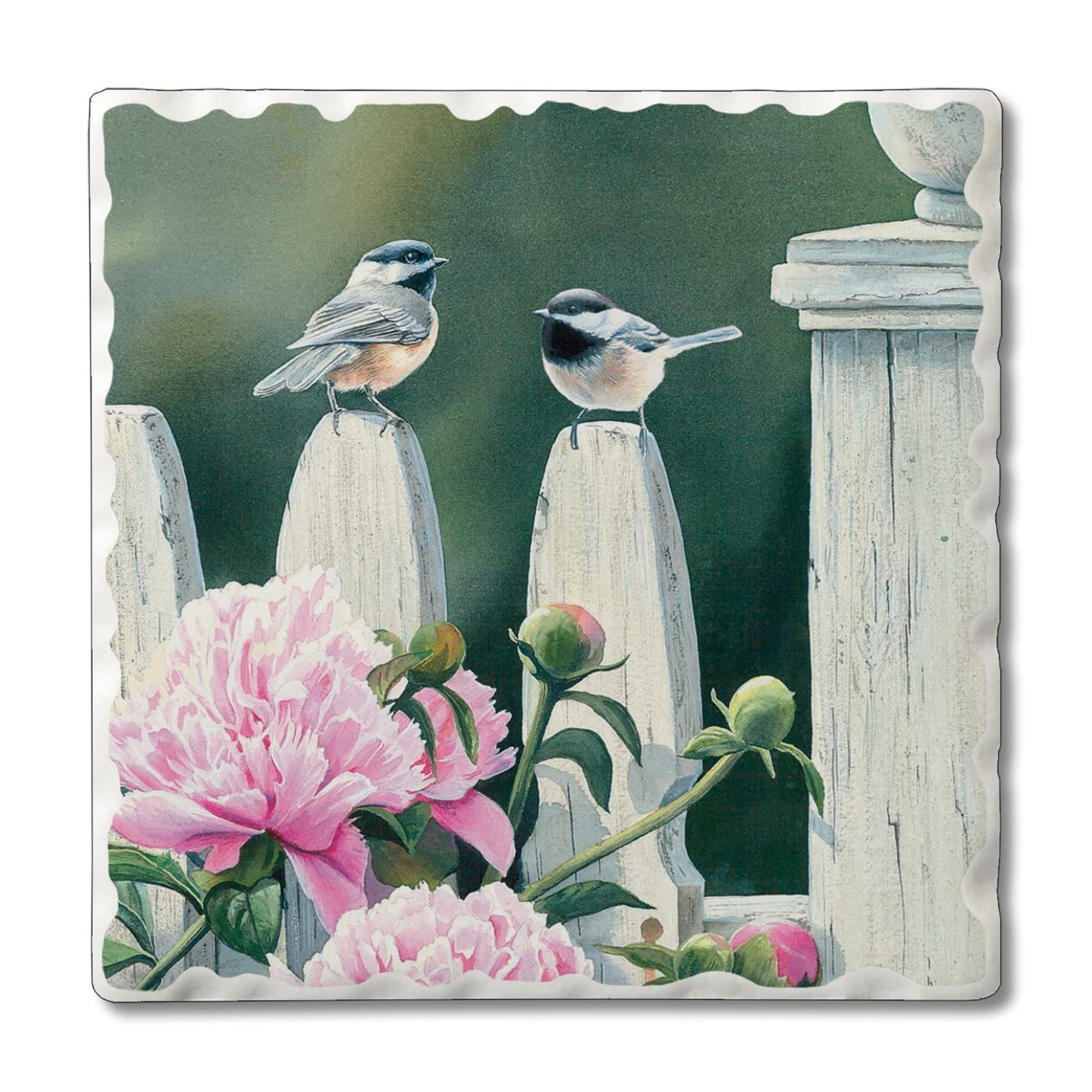 Thirstystone Garden Birds Single Tumbled Tile Stone Coaster with Protective Cork Backing Manufactured in The USA 4" Square, Artistic, Easily Wipes Clean