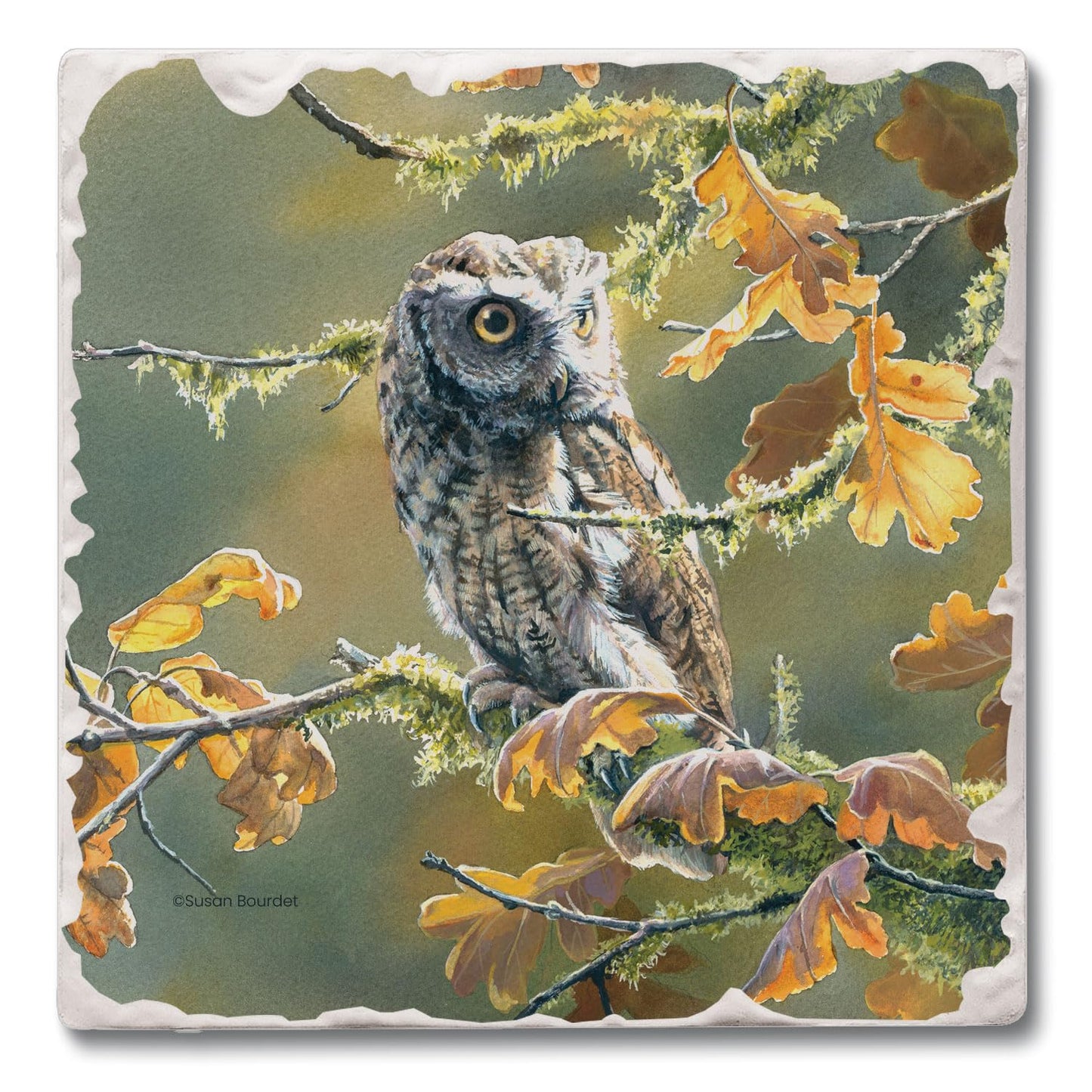 Thirstystone Screech Owl Single Tumbled Tile Stone Coaster with Protective Cork Backing Manufactured in The USA 4" Square