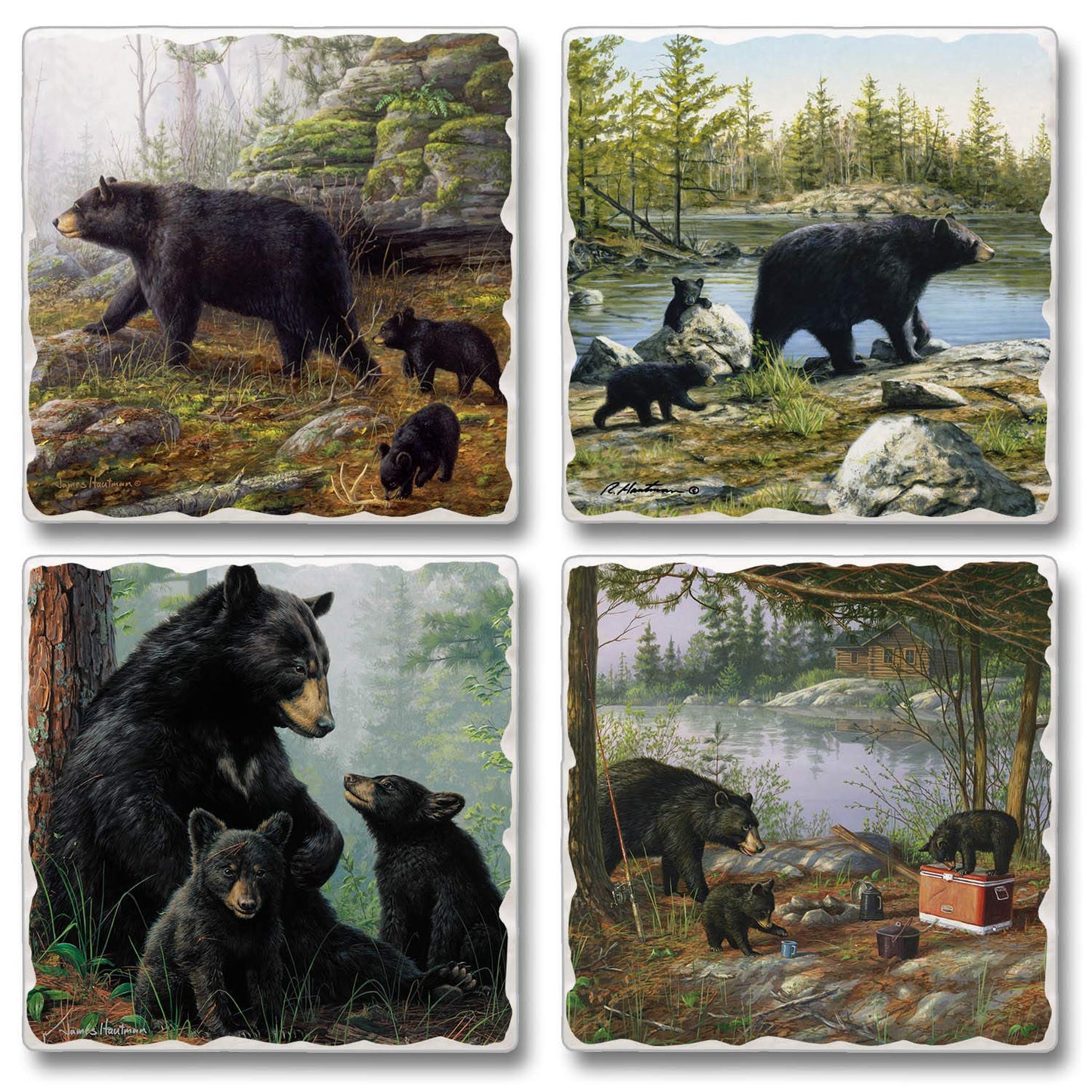 Thirstystone Keeping Watch Bear 4-Pack Tumbled Tile Stone Coasters 4" Square