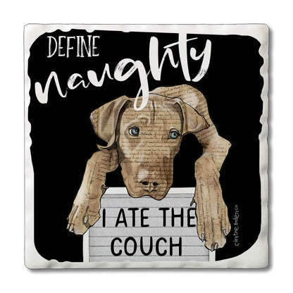 Thirstystone Define Naughty Dog Single Tumbled Tile Stone Coaster with Protective Cork Backing Manufactured in The USA 4" Square, Colorful, Artistiic, Easily Wipes Clean