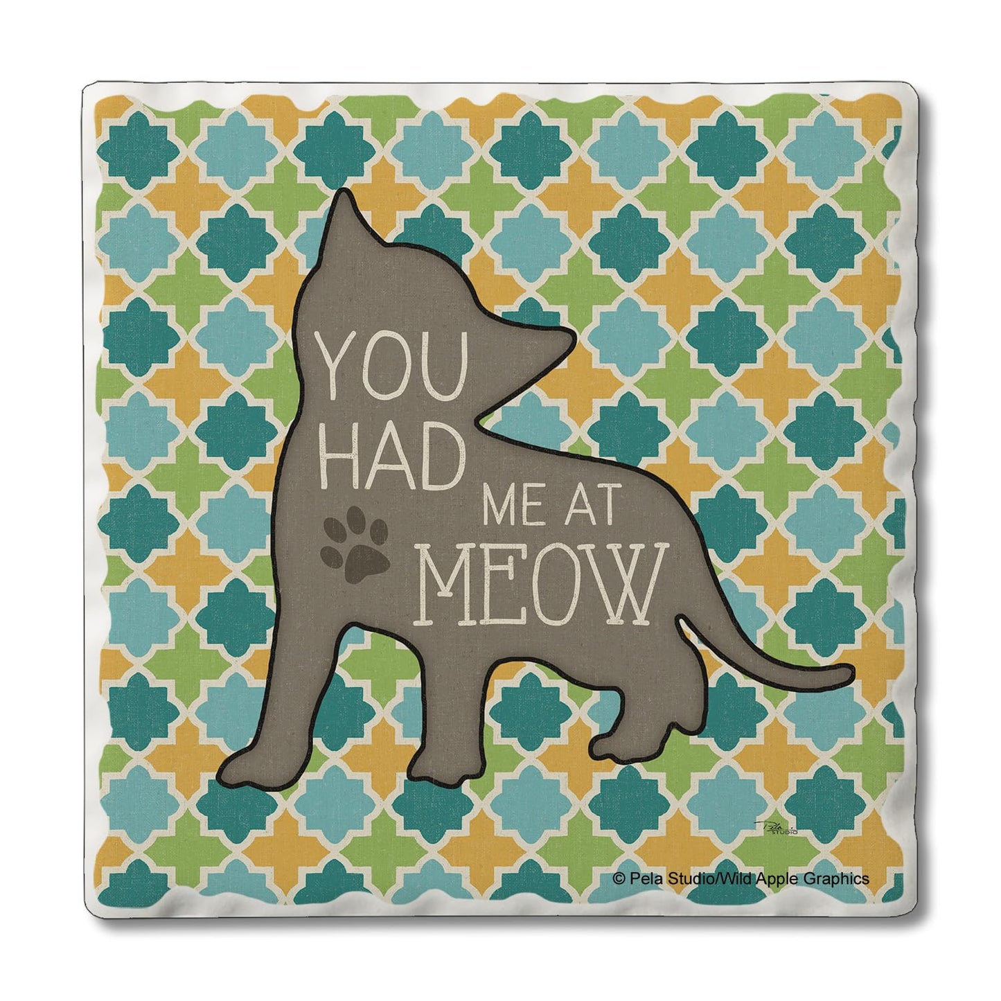 Thirstystone Had Me at Meow Single Tumbled Tile Stone Coaster with Protective Cork Backing Manufactured in The USA 4" Square, Artistic, Easily Wipes Clean