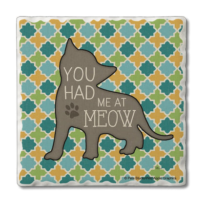 Thirstystone Had Me at Meow Single Tumbled Tile Stone Coaster with Protective Cork Backing Manufactured in The USA 4" Square, Artistic, Easily Wipes Clean