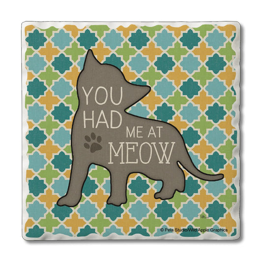 Thirstystone Had Me at Meow Single Tumbled Tile Stone Coaster with Protective Cork Backing Manufactured in The USA 4" Square, Artistic, Easily Wipes Clean