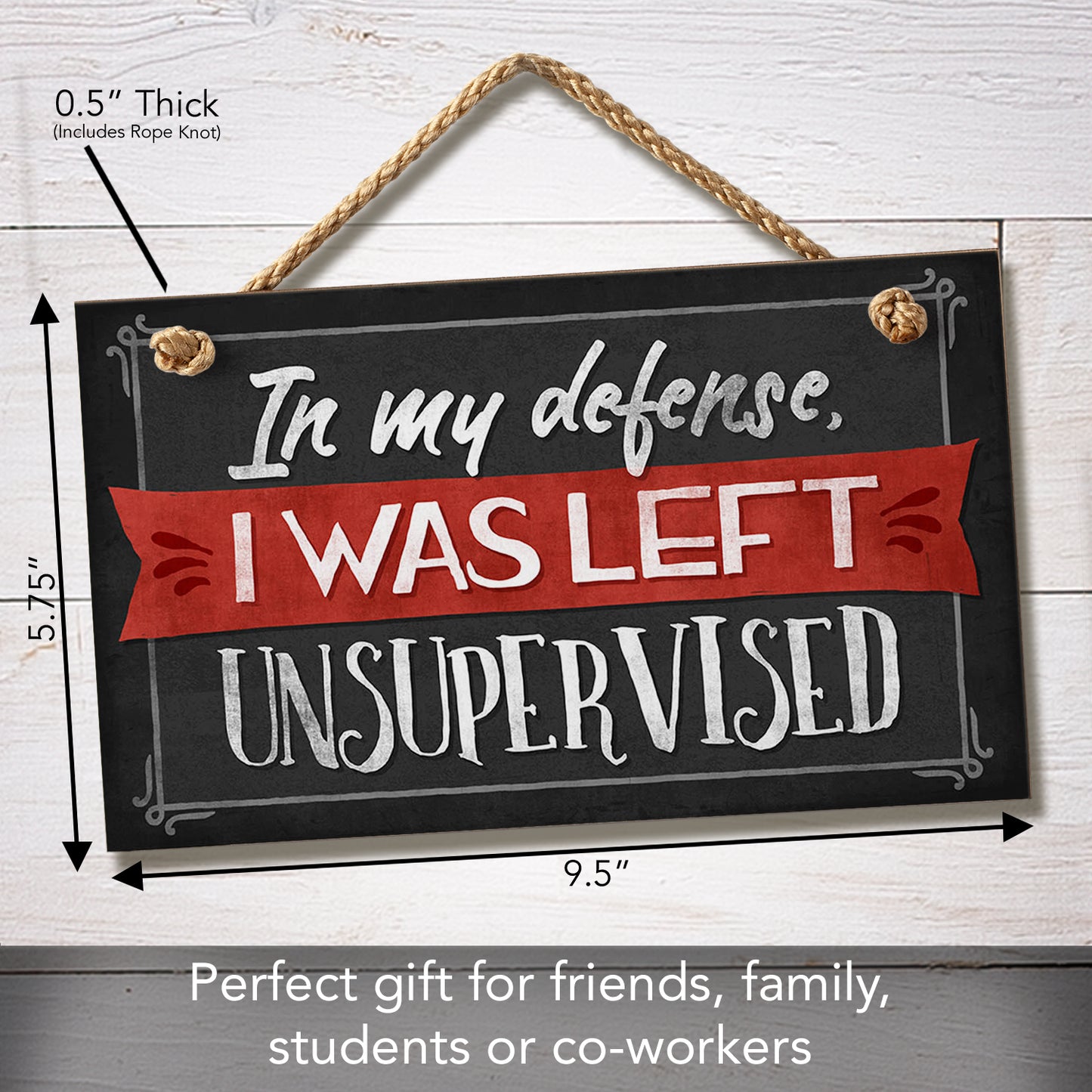 CounterArt Unsupervised Decorative Hanging Wood Wall Sign 9.5” x 5.75” Made in the USA Features Braided Rope Hanger
