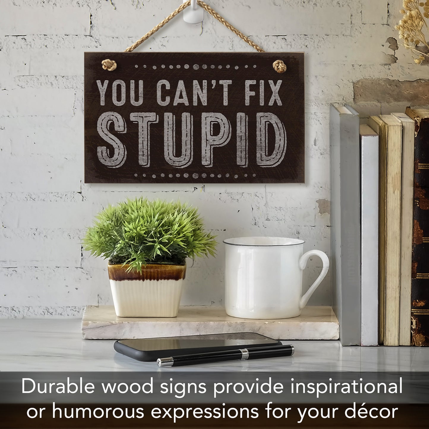 CounterArt You Can't Fix Stupid Humorous Hanging Wood Wall Sign 9.5” x 5.75” Made in the USA Features Braided Rope Hanger