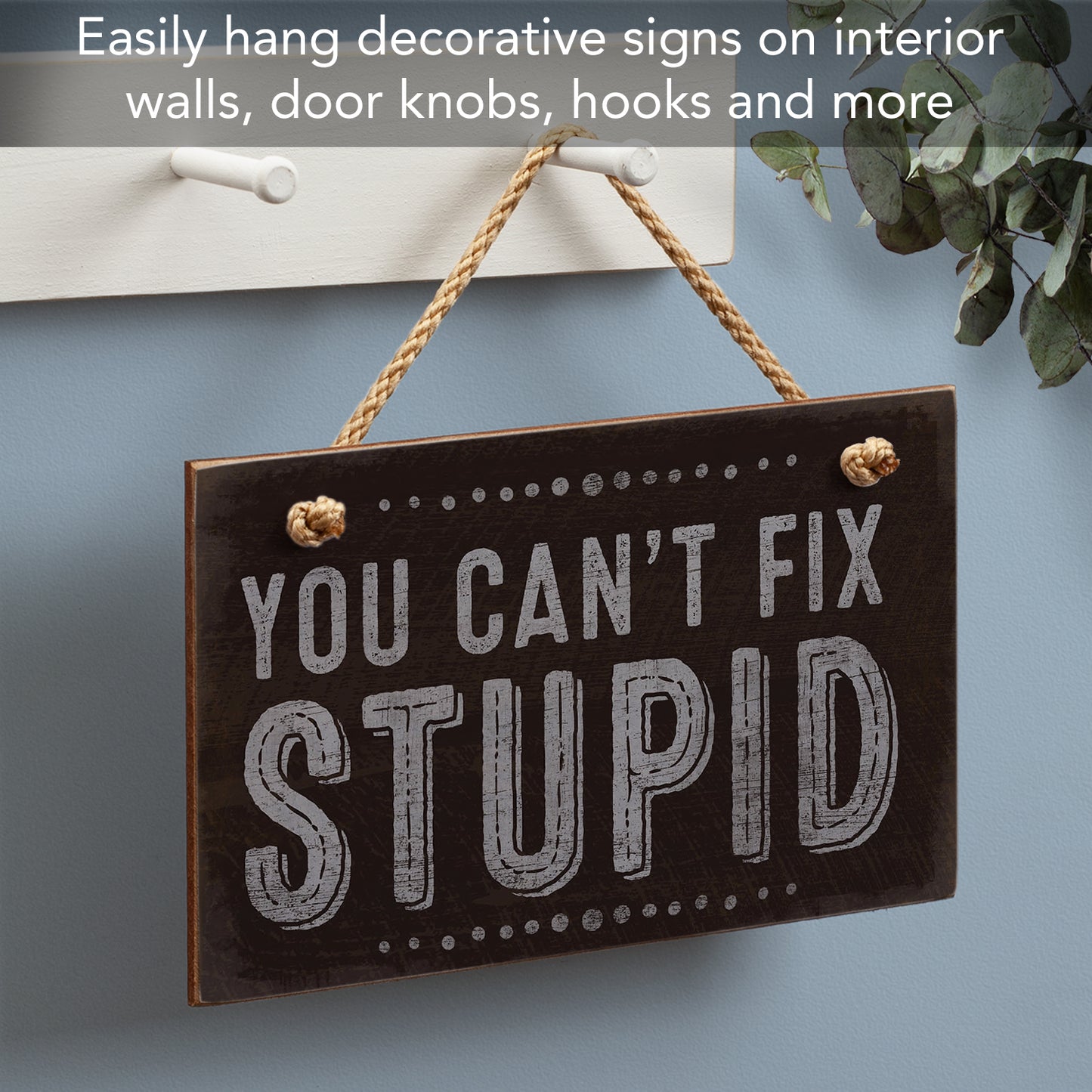 CounterArt You Can't Fix Stupid Humorous Hanging Wood Wall Sign 9.5” x 5.75” Made in the USA Features Braided Rope Hanger