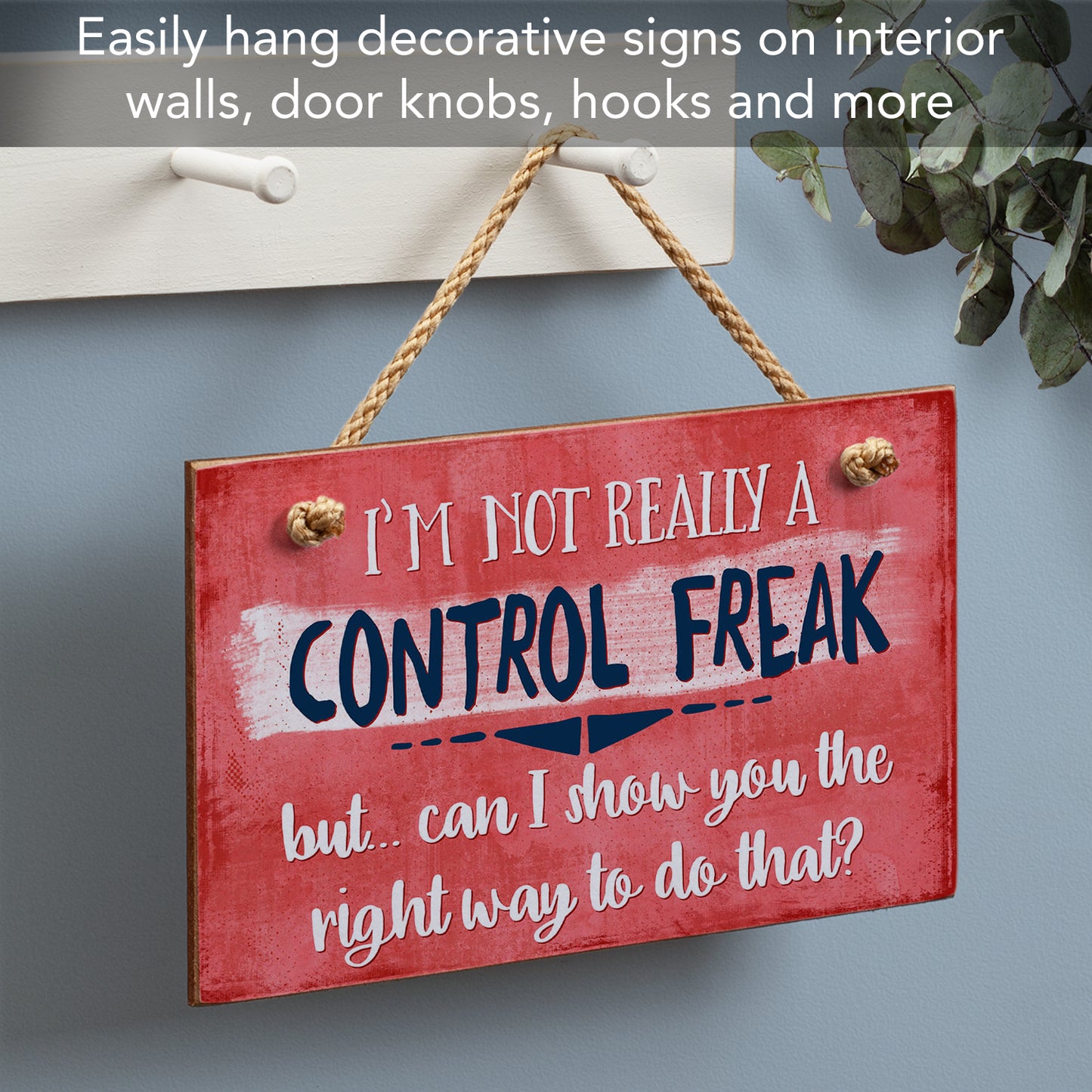 Highland Home Control Freak Humorous Hanging Wood Wall Sign 9.5” x 5.75” Made in the USA Features Braided Rope Hanger