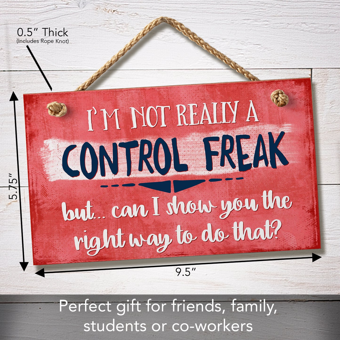 Highland Home Control Freak Humorous Hanging Wood Wall Sign 9.5” x 5.75” Made in the USA Features Braided Rope Hanger