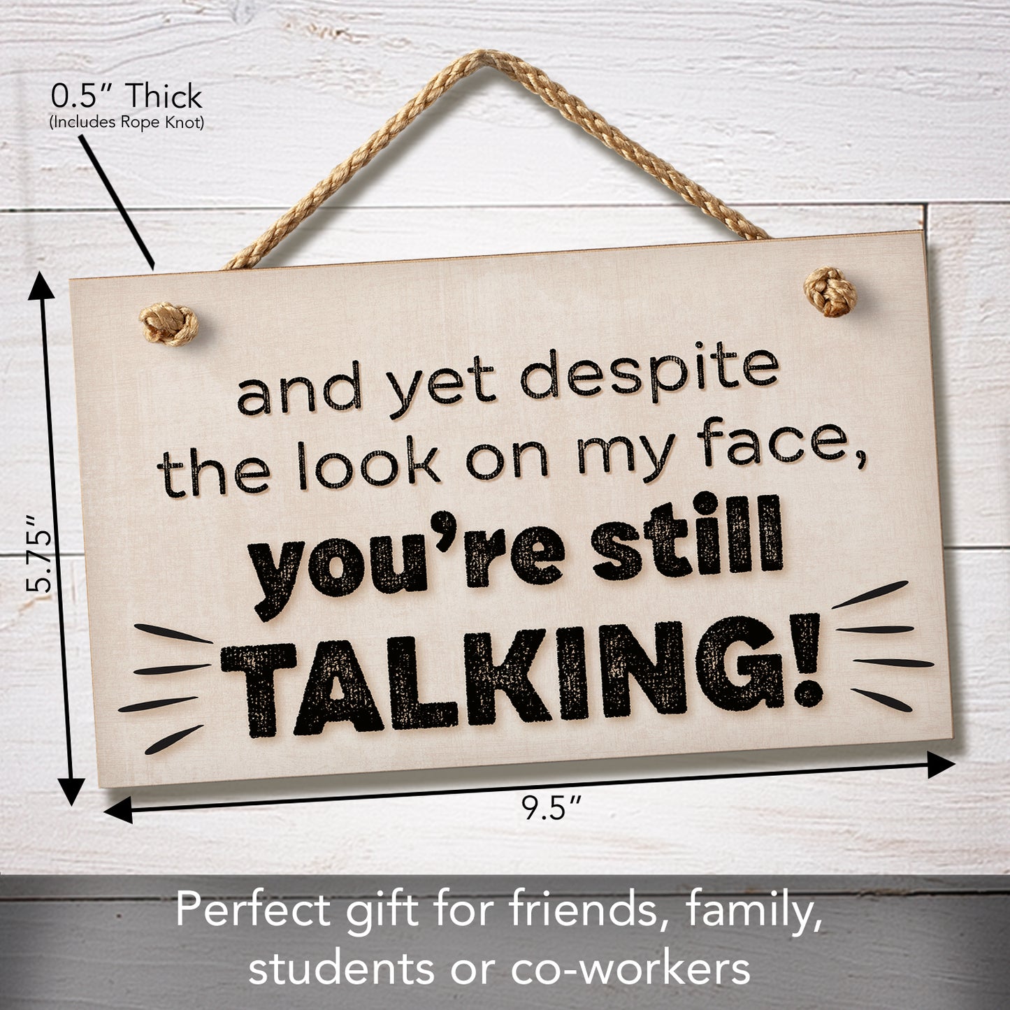 CounterArt "Despite The Look On My Face You're Still Talking" Decorative Hanging Wood Wall Sign 9.5” x 5.75” Made in the USA Features Braided Rope Hanger