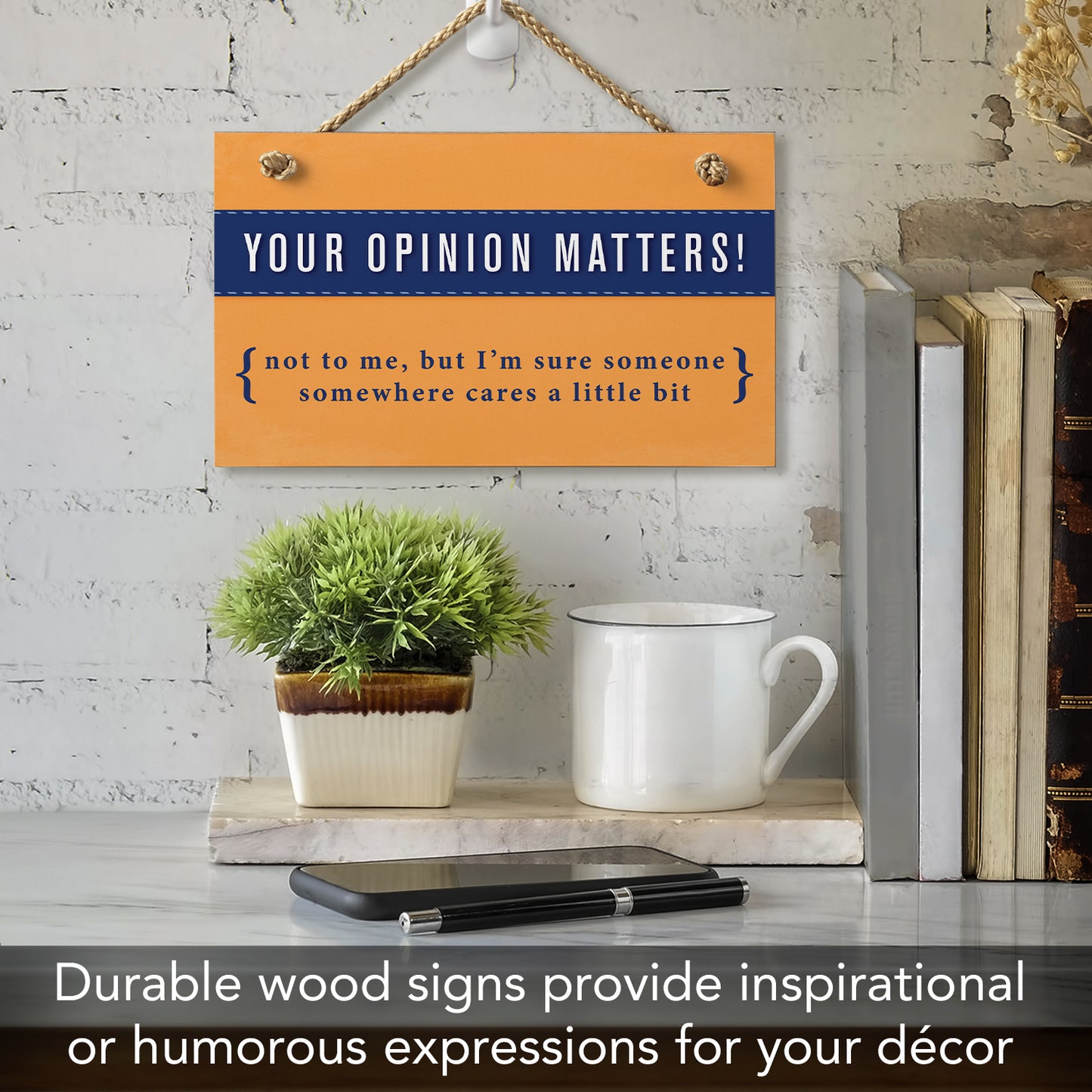 CounterArt "Your Opinion Matters Somewhere" Hanging Wood Wall Sign 9.5” x 5.75” Made in the USA Features Braided Rope Hanger
