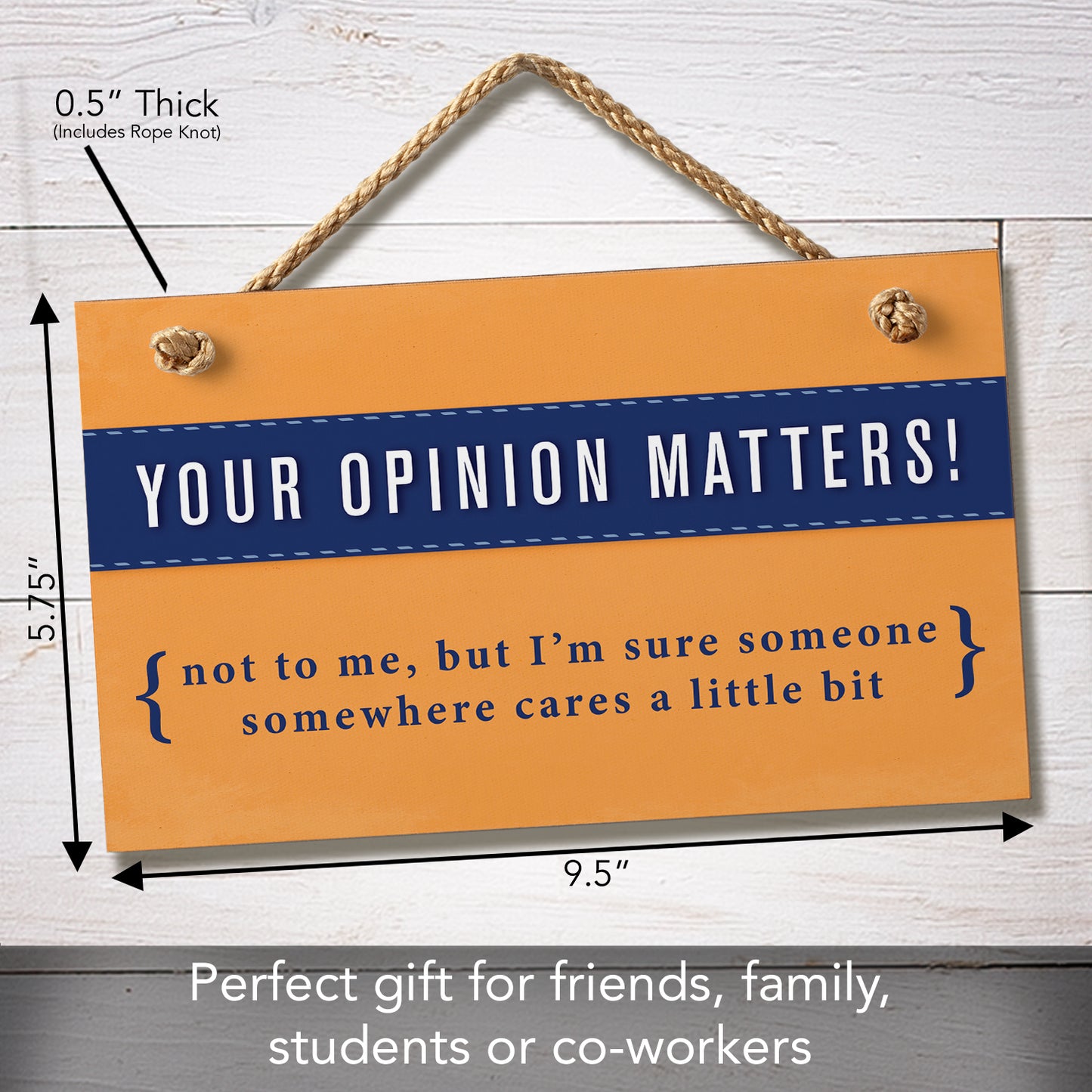 CounterArt "Your Opinion Matters Somewhere" Hanging Wood Wall Sign 9.5” x 5.75” Made in the USA Features Braided Rope Hanger