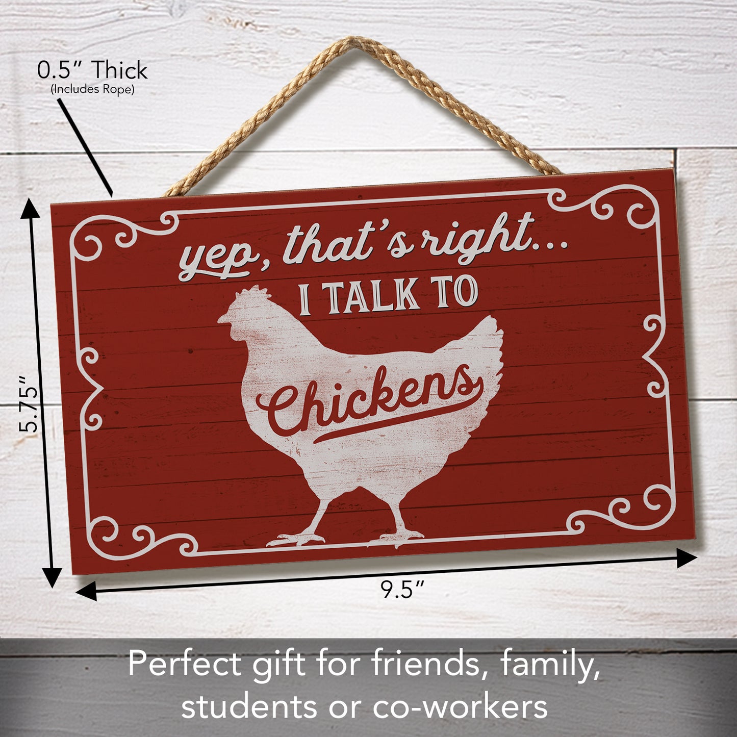 CounterArt I Talk To Chickens Decorative Hanging Wood Wall Sign 9.5" by 5.75" Made in the USA Features Braided Rope Hanger