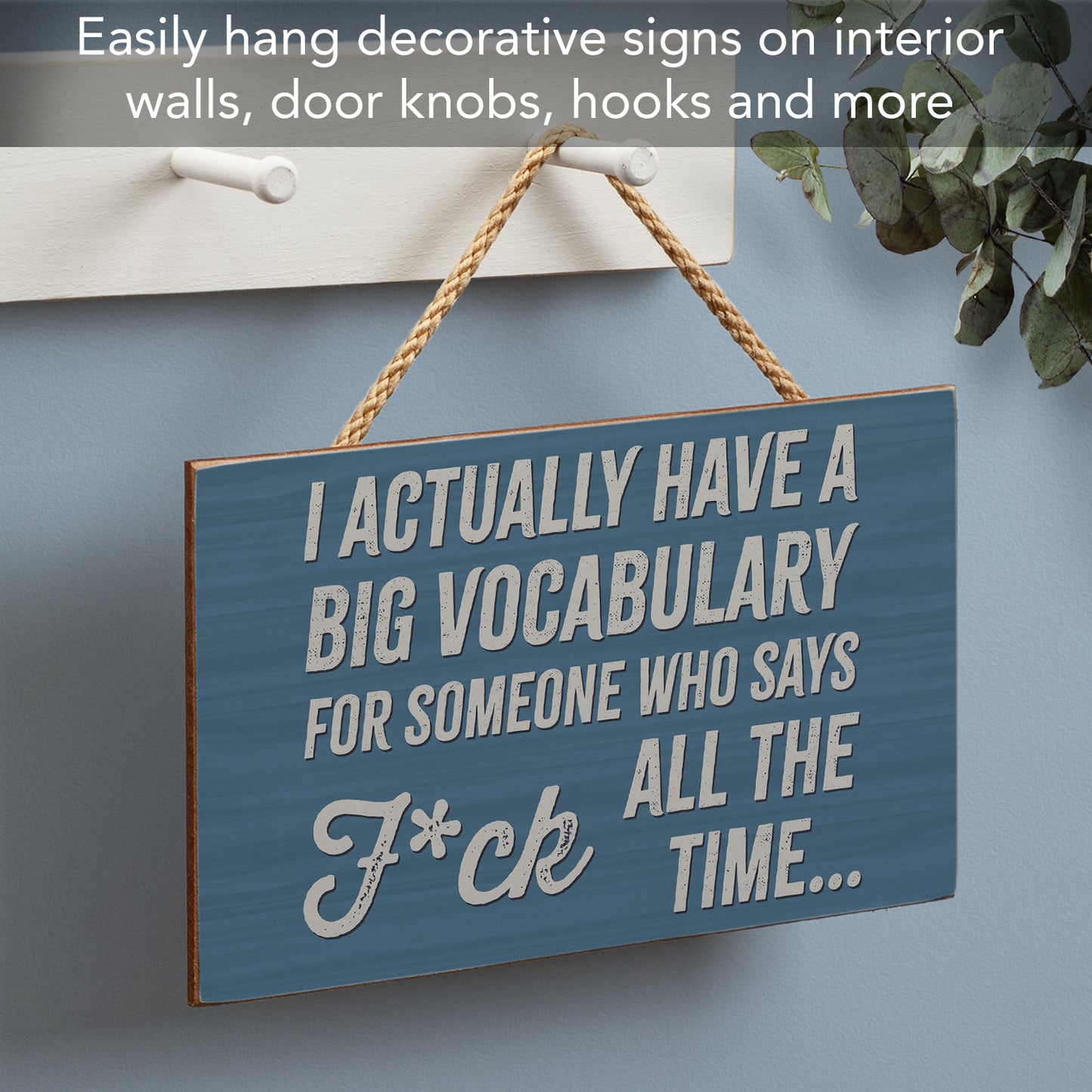 CounterArt Big Vocabulary Humorous Hanging Wood Wall Sign 9.5” Made in the USA Features Braided Rope Hanger