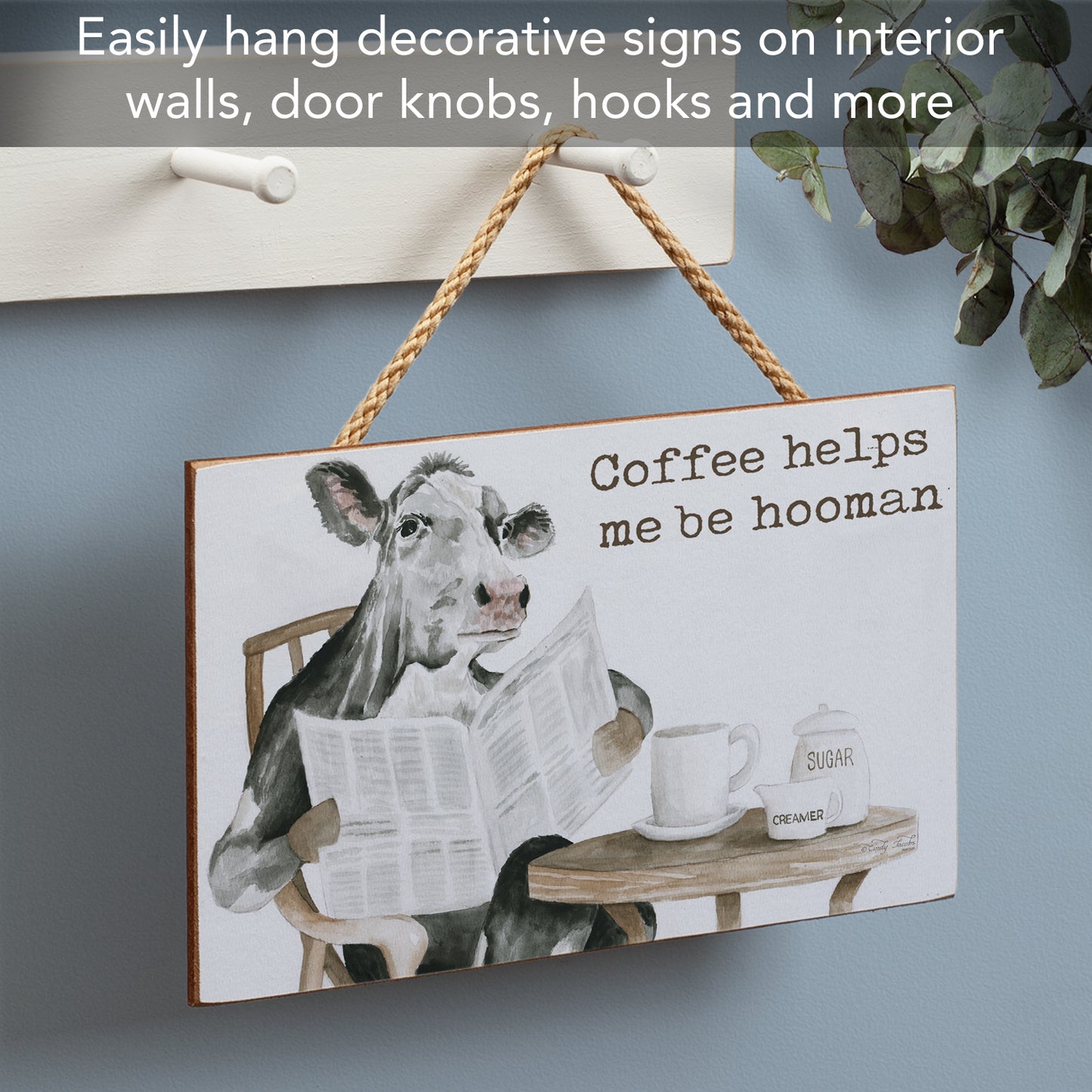 CounterArt Hooman Humorous Hanging Wood Wall Sign 9.5” by 5.75” Made in the USA Features Braided Rope Hanger