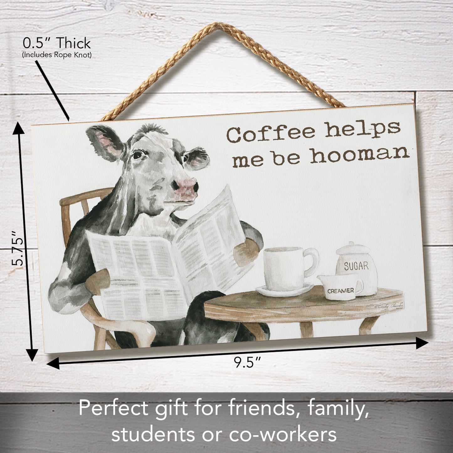 CounterArt Hooman Humorous Hanging Wood Wall Sign 9.5” by 5.75” Made in the USA Features Braided Rope Hanger