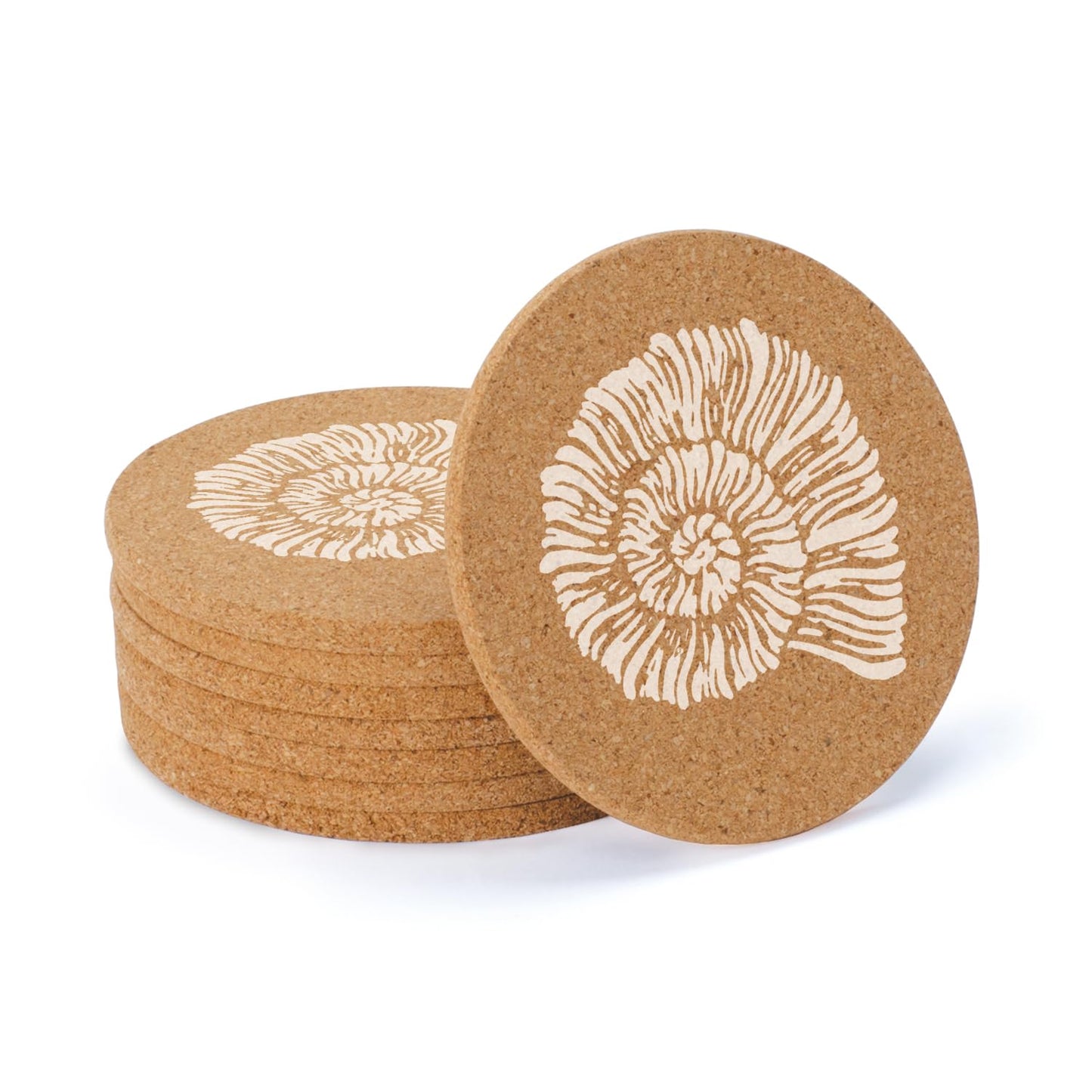 Thirstystone Seashells 8-Pack Thick Natural Cork Coasters Manufactured in The USA Eco-Friendly Absorbent Durable