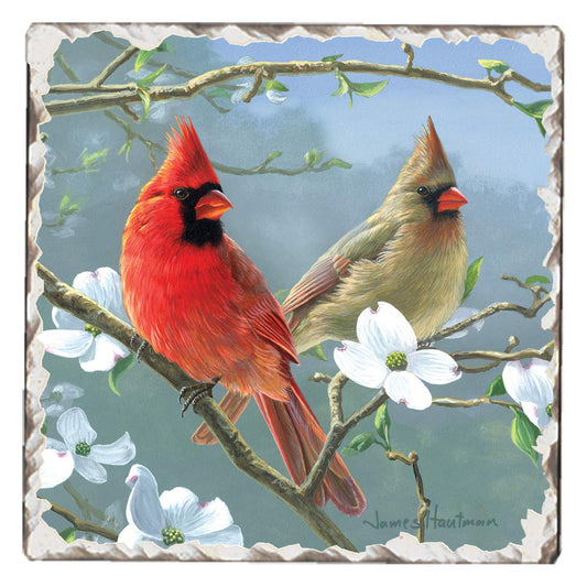 Thirstystone Blooming Cardinals Single Tumbled Tile Stone Coaster with Protective Cork Backing Manufactured in The USA 4" Square, Artistic, Easily Wipes Clean