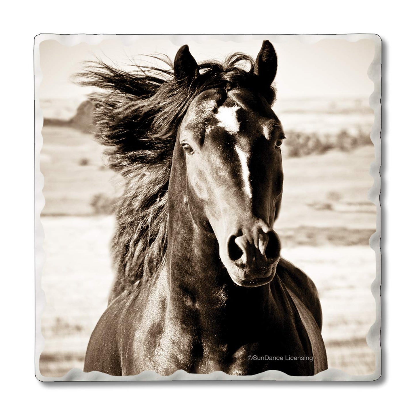 Thirstystone Horse-Black Beauty 4 Pack Tumbled Tile Stone Coasters 4" Square Manufactured in the USA