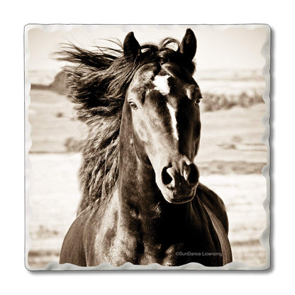 Thirstystone Horse-Black Beauty 4 Pack Tumbled Tile Stone Coasters 4" Square Manufactured in the USA