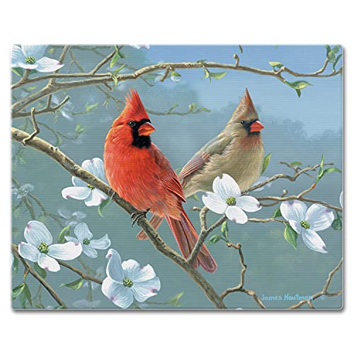 CounterArt Beautiful Songbirds Cardinal 3mm Tempered Glass Cutting Board 15” x 12” Manufactured in the USA