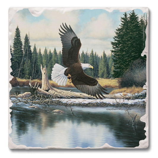 Thirstystone Eagle Spirit Single Tumbled Tile Stone Coaster Manufactured in the USA 4" Square