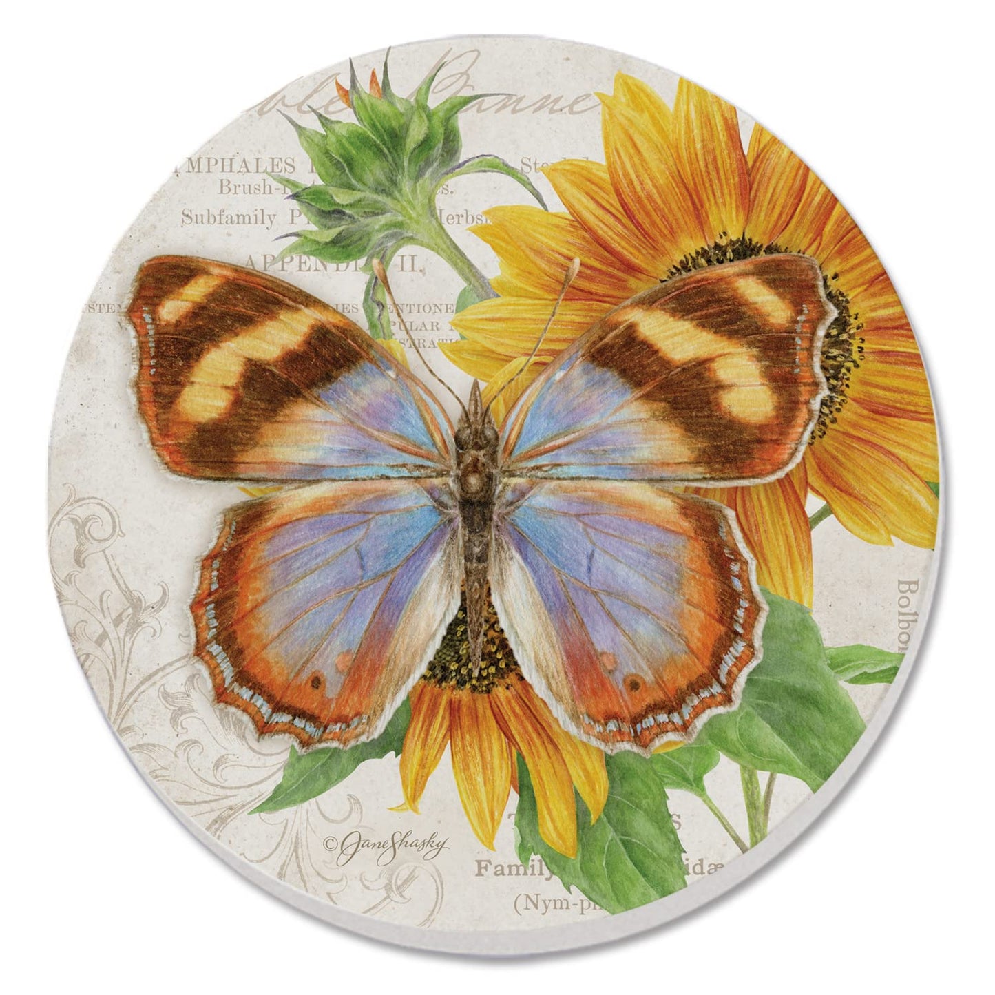 Thirstystone Variable Banner Butterfly Single Round Absorbent Stone Coaster with Protective Cork Backing Manufactured in The USA 4" Diameter