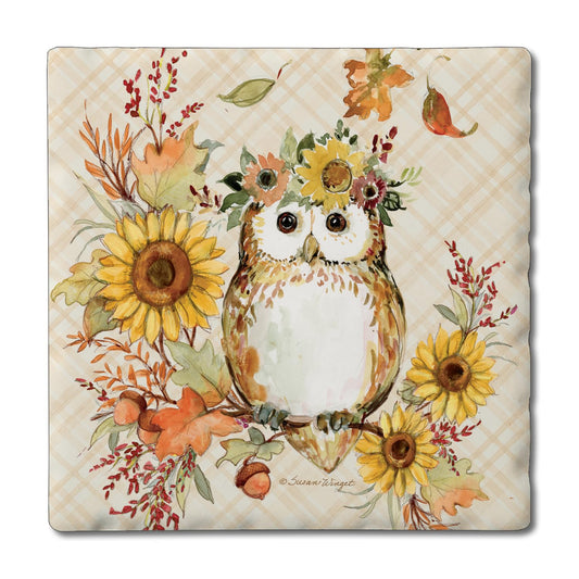Thirstystone Friendly Owl 4 Pack Tumbled Tile Stone Coasters 4" Square Manufactured in the USA