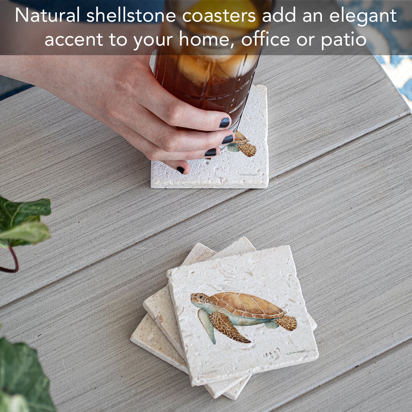 Thirstystone Sea Turtle 4 Pack Natural Shell Stone Absorbent Coasters with Protective Cork Backing Manufactured in The USA