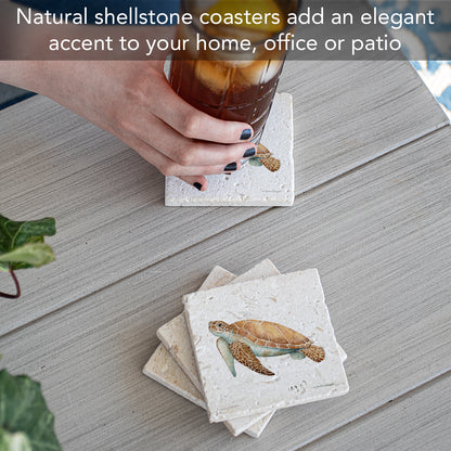 Thirstystone Sea Turtle 4 Pack Natural Shell Stone Absorbent Coasters with Protective Cork Backing Manufactured in The USA