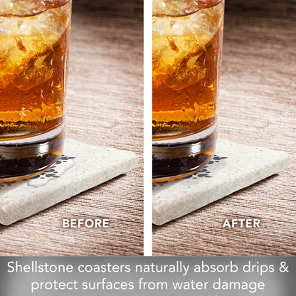 Thirstystone Blue Medallion 4 Pack Natural Shell Stone Absorbent Coasters with Protective Cork Backing Manufactured in The USA