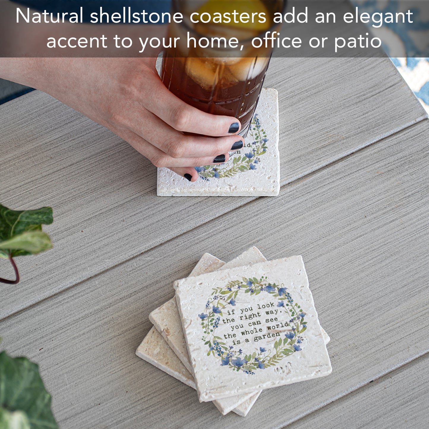 Thirstystone World is A Garden 4 Pack Natural Shell Stone Absorbent Coasters with Protective Cork Backing Manufactured in The USA