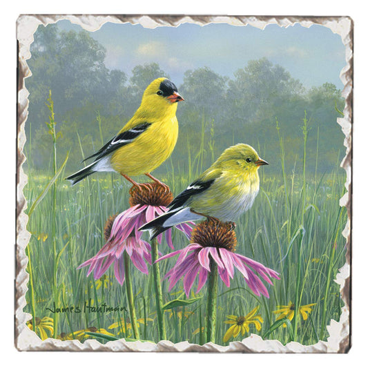 Thirstystone Purple Flower Perch Single Tumbled Tile Stone Coaster with Protective Cork Backing Manufactured in The USA 4" Square, Artistic, Easily Wipes Clean
