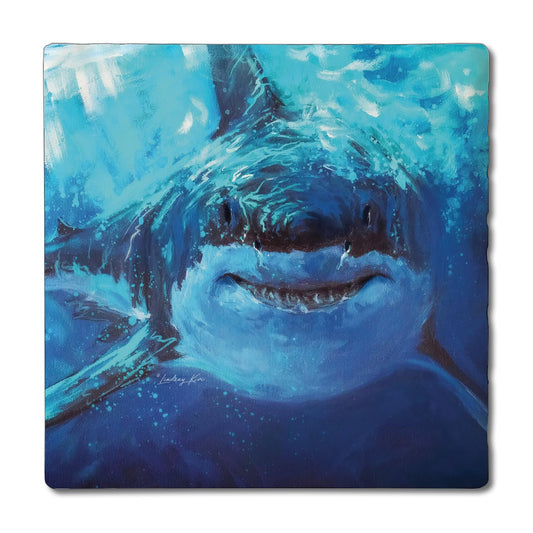 Thirstystone Deep Blue Shark 4 Pack Tumbled Tile Stone Coasters 4" Square Manufactured in the USA