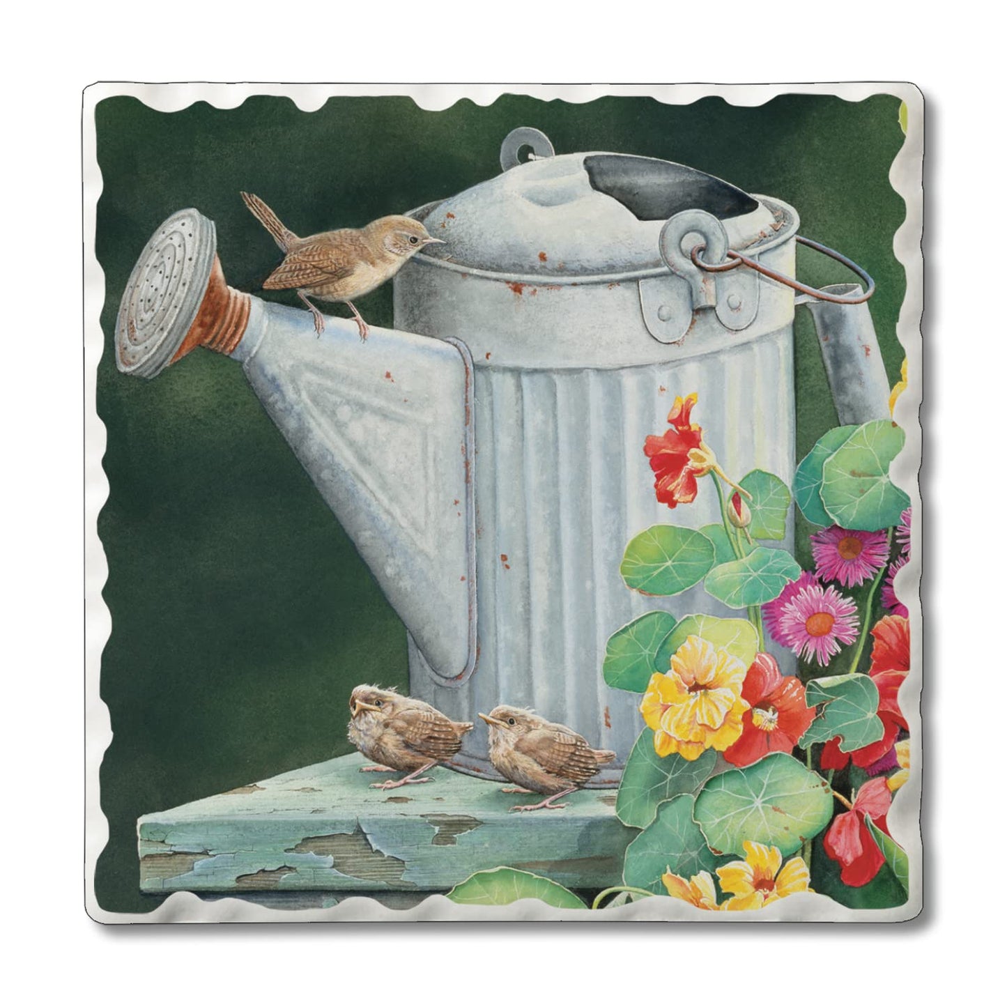 Thirstystone Watering Birds Single Tumbled Tile Stone Coaster with Protective Cork Backing Manufactured in The USA 4" Square, Artistic, Easily Wipes Clean