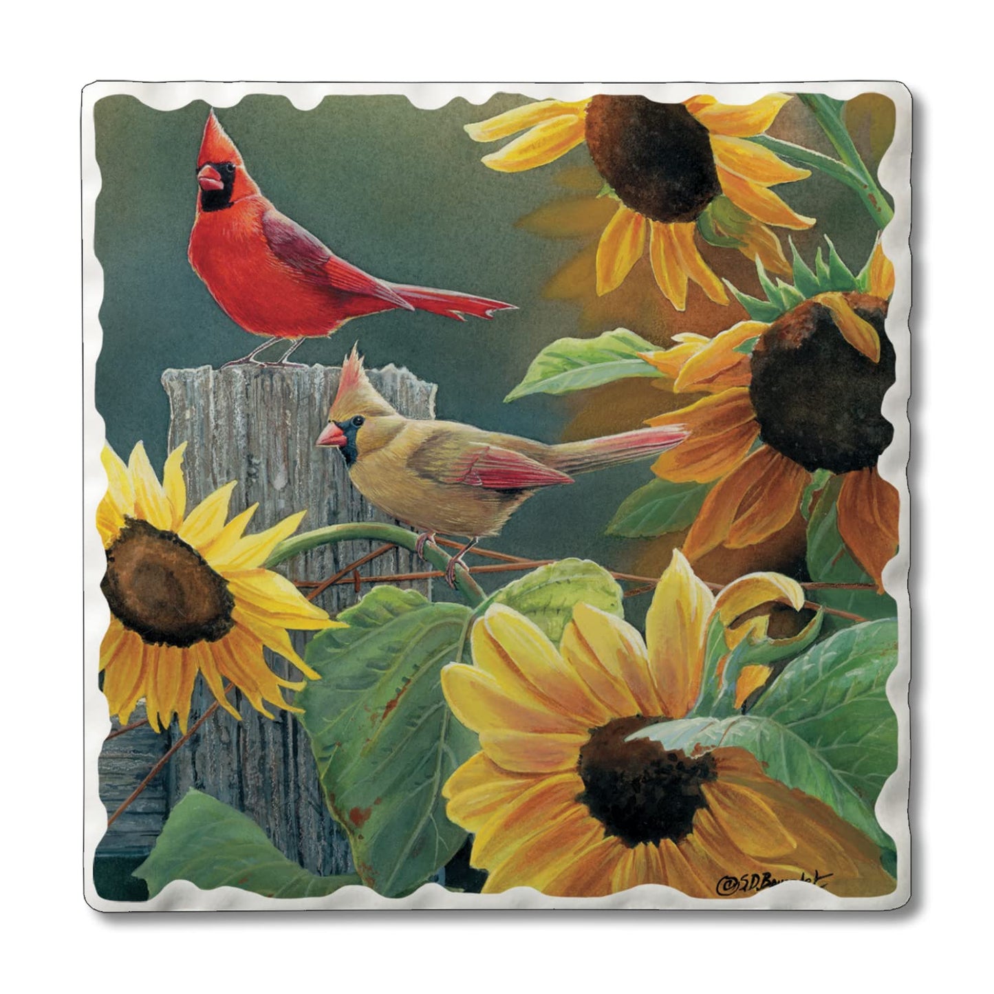 Thirstystone Cardinal & Sunflowers Single Tumbled Tile Stone Coaster with Protective Cork Backing Manufactured in The USA 4" Square, Artistic, Easily Wipes Clean
