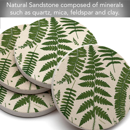 Thirstystone Ferns 4 Pack Round Natural Sandstone Coasters with Protective Cork Backing Manufactured in The USA